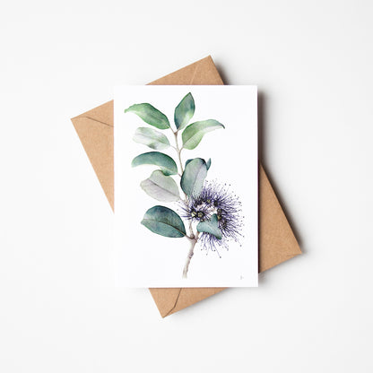 Banksia - Greeting Card