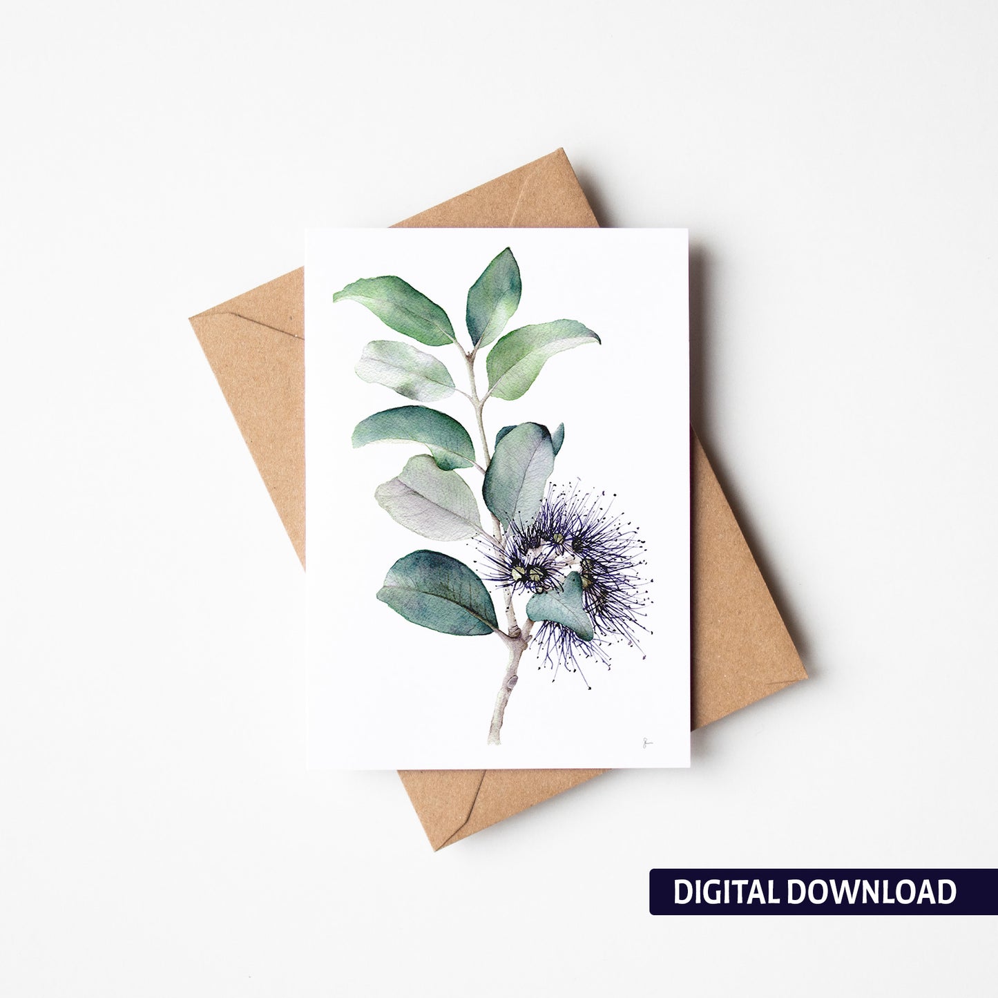 Banksia - Printable Greeting Card