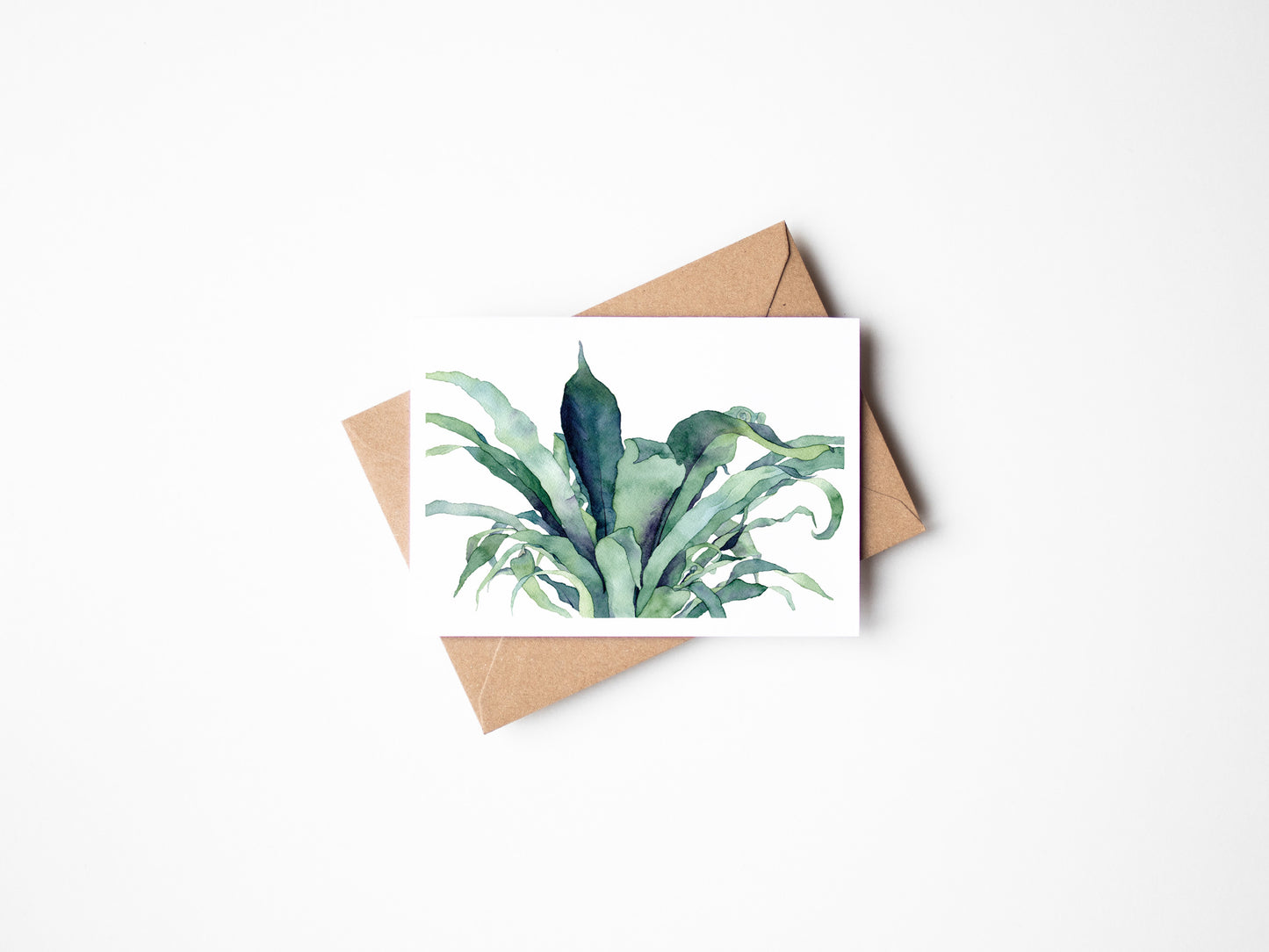 Bird's Nest Fern - Greeting Card