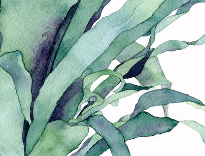 Bird's Nest Fern - Original Artwork