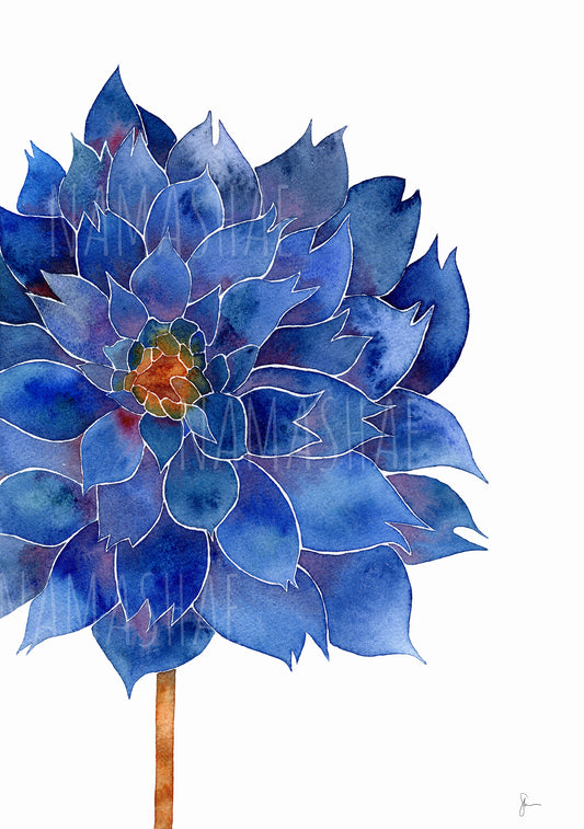 Blue Dahlia - Print