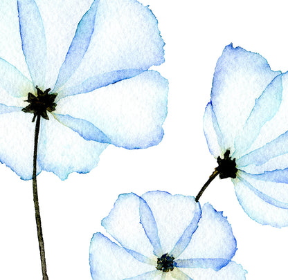 Cosmos - Greeting Card