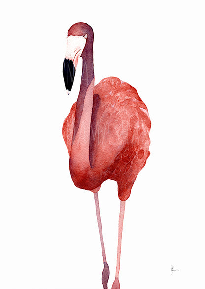 Flamingo - Print