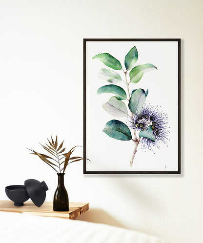 Banksia - Printable Art