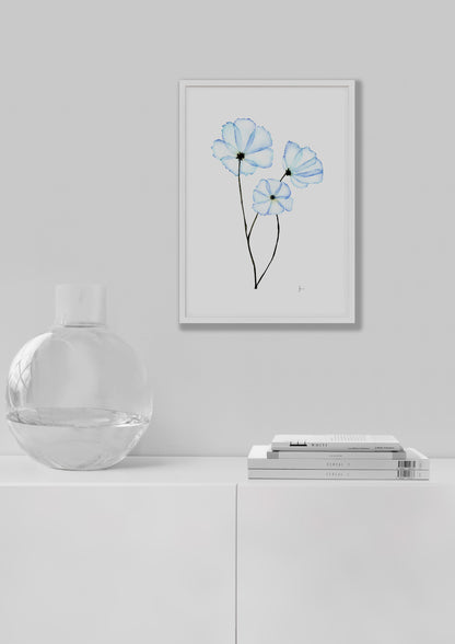 Cosmos - Print