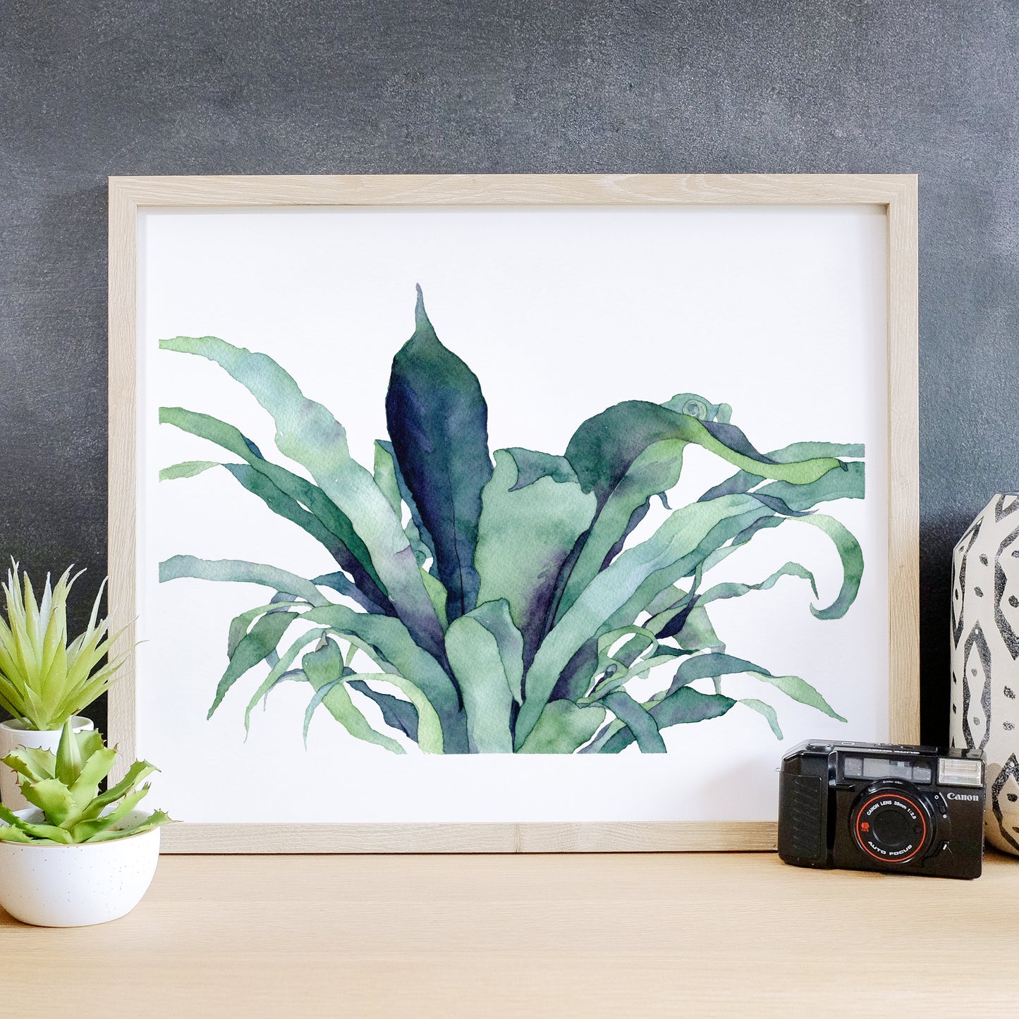 Bird's Nest Fern - Print