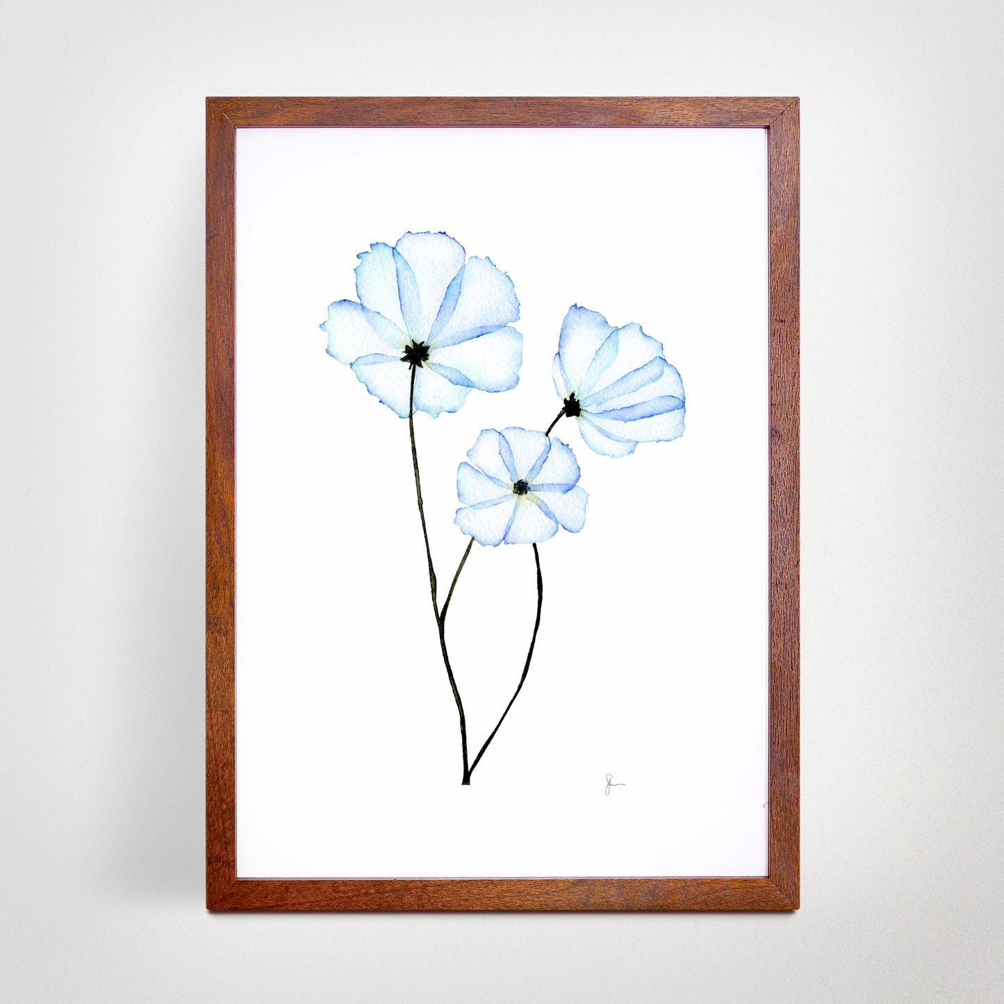 Cosmos - Print