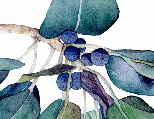 Moreton Bay Fig - Greeting Card