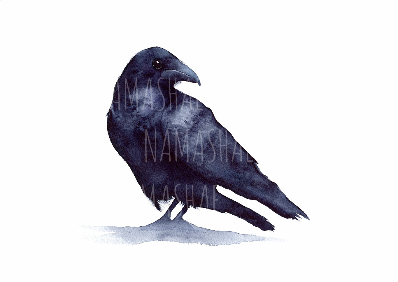 Raven - Greeting Card