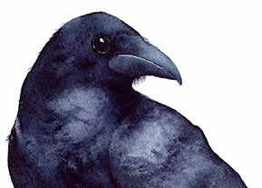 Raven - Original Artwork