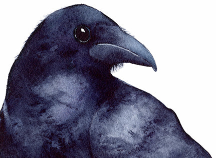 Raven - Greeting Card