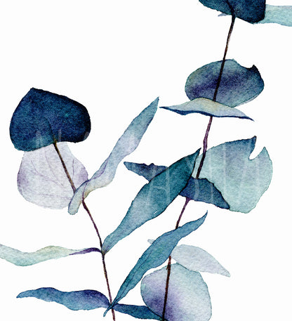 Round Eucalyptus - Greeting Card